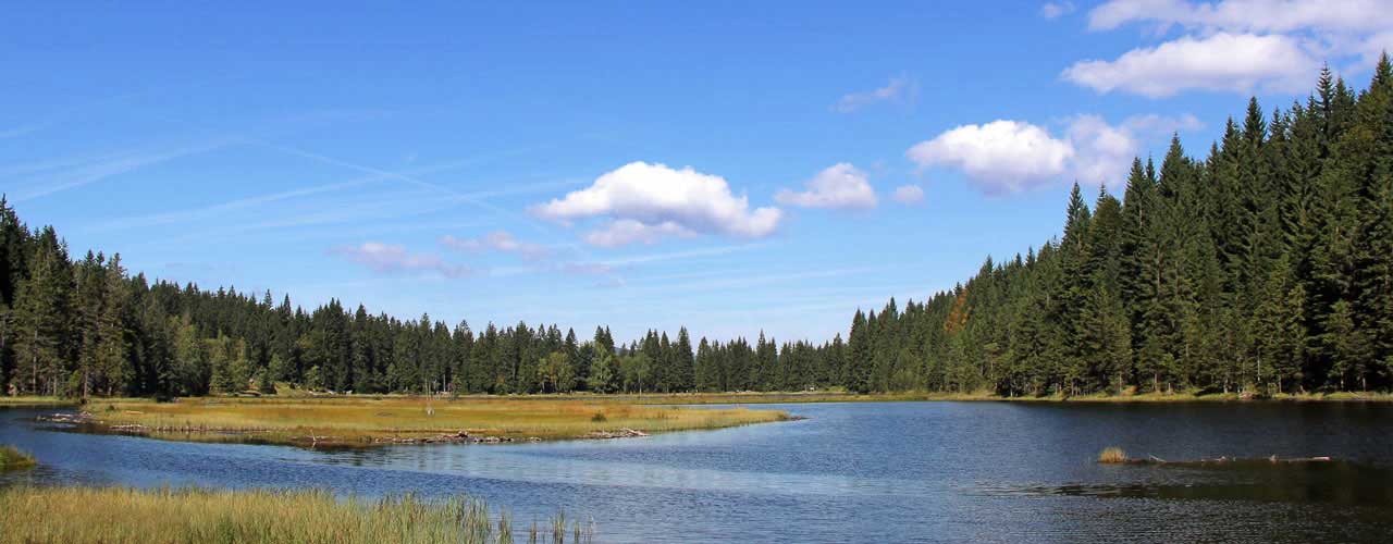 Ferienwohnungen und Ferienhäuser in Landkreis Cham / Bayern