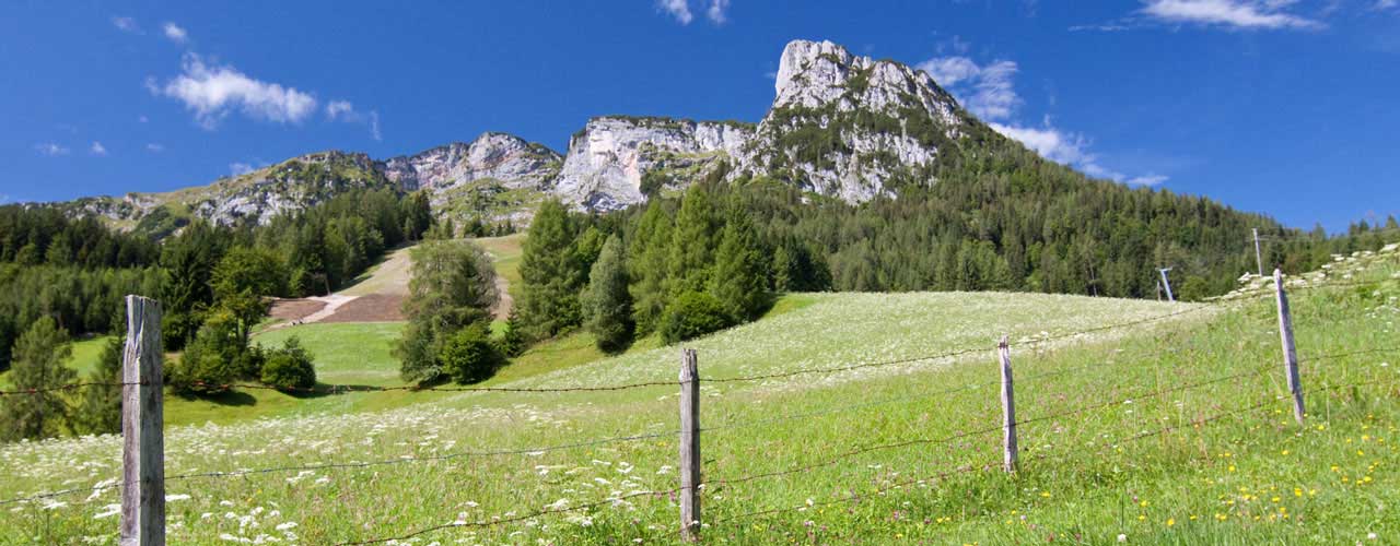 Ferienwohnungen und Ferienhäuser in Wald im Pinzgau / Panoramabahn Kitzbüheler Alpen - Mittersill